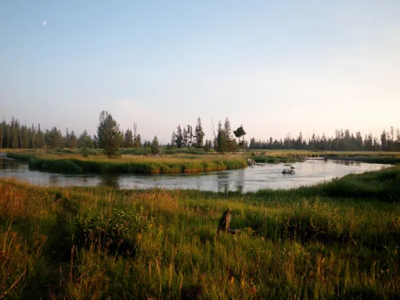 Bechler Meadows - Yellowstone Bechler River Trail in Yellowstone
