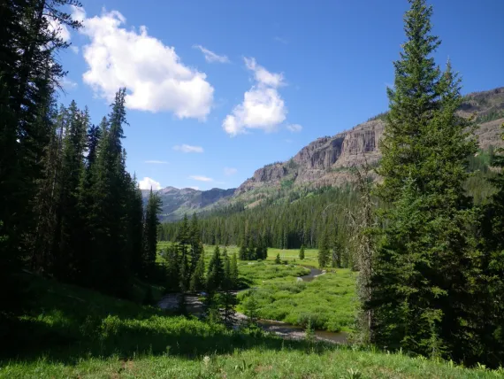 View from camp 3P3, Yellowstone National Park Yellowstone, Pebble Creek