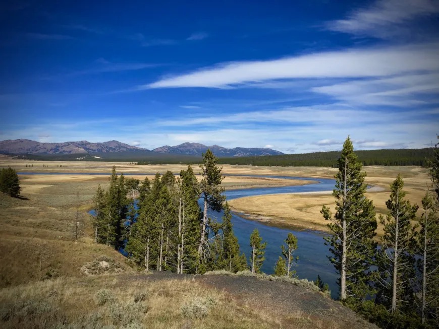Grizzly Ovelook - YNP View from Grizzly Overlook - YNP