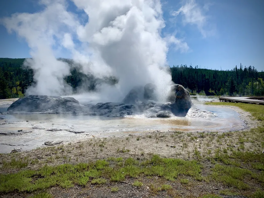 Grotto Geyser in Yellowstone