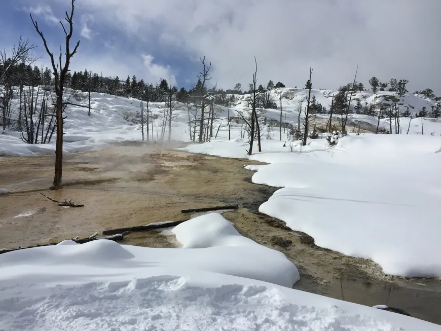Winter Vacations in Yellowstone