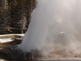 Riverside Geyser - Yellowstone Geology 