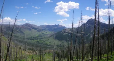 Pebble Creek and Yellowstone's Northeast Corner