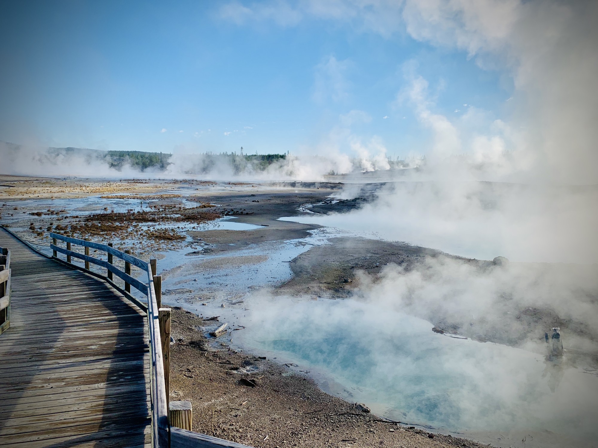 Norris Geyser Basin